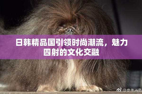 日韩精品国引领时尚潮流，魅力四射的文化交融