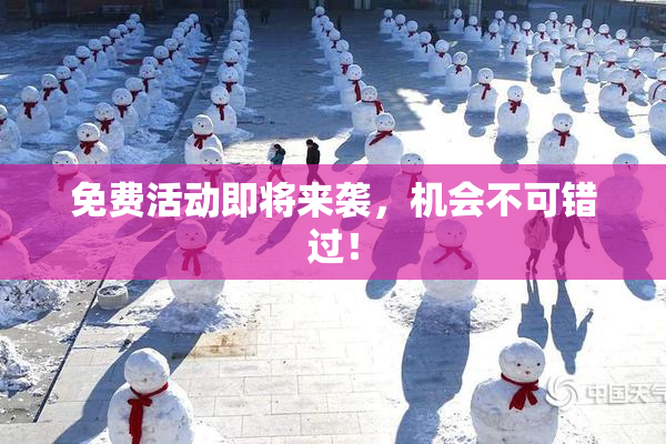免费活动即将来袭，机会不可错过！