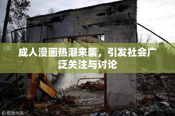 成人漫画热潮来袭，引发社会广泛关注与讨论