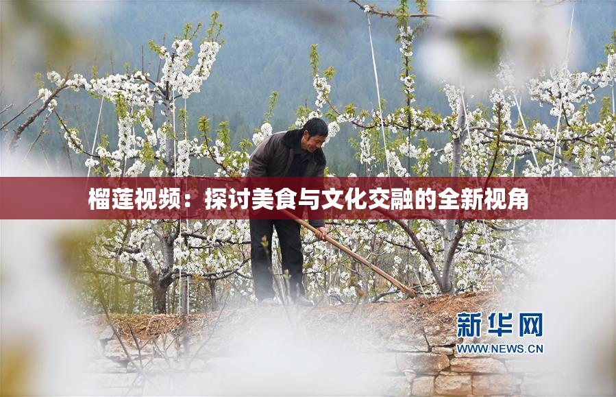 榴莲视频：探讨美食与文化交融的全新视角