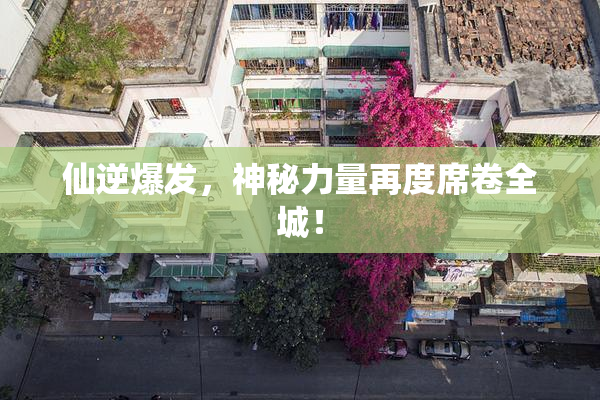 仙逆爆发，神秘力量再度席卷全城！