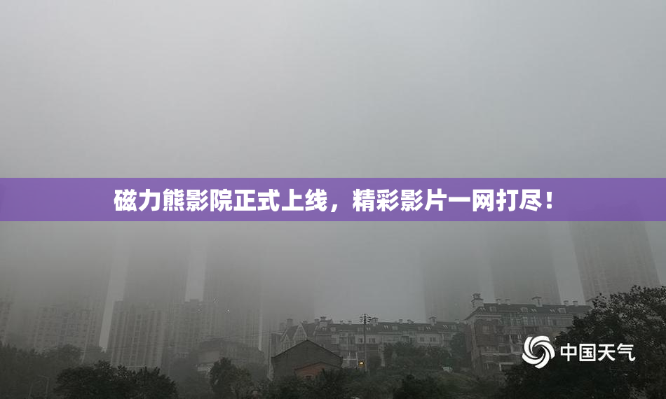 磁力熊影院正式上线，精彩影片一网打尽！