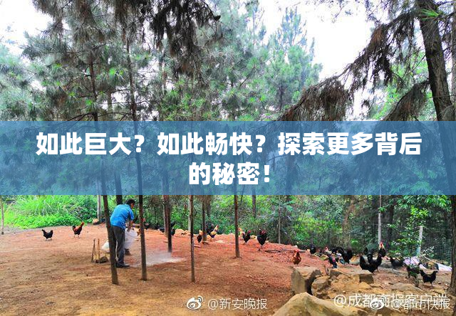 如此巨大？如此畅快？探索更多背后的秘密！