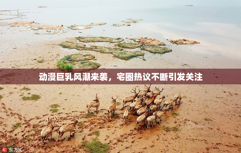 动漫巨乳风潮来袭，宅圈热议不断引发关注
