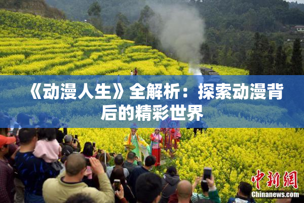 《动漫人生》全解析：探索动漫背后的精彩世界