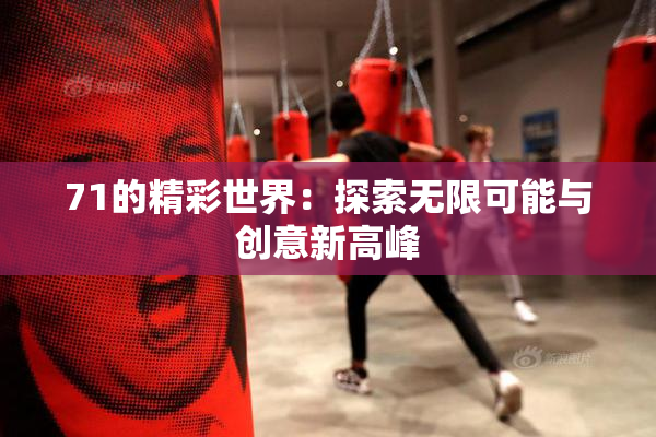 71的精彩世界：探索无限可能与创意新高峰