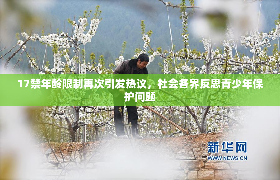 17禁年龄限制再次引发热议，社会各界反思青少年保护问题