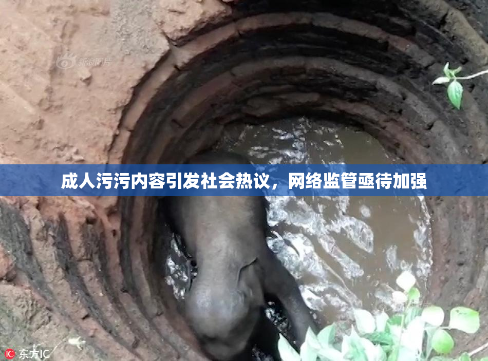 成人污污内容引发社会热议，网络监管亟待加强