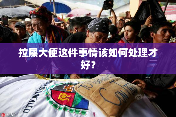 拉屎大便这件事情该如何处理才好？