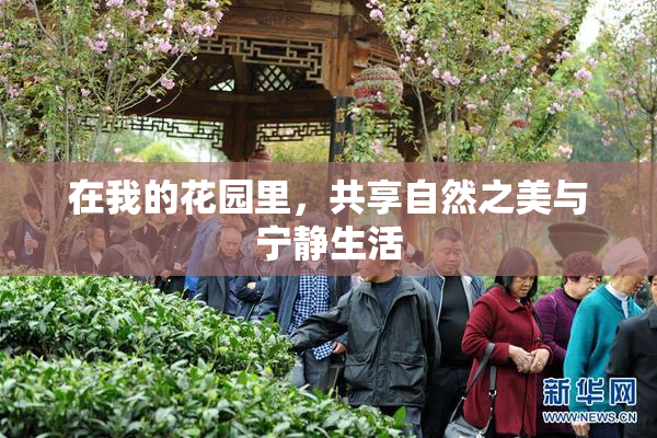在我的花园里，共享自然之美与宁静生活
