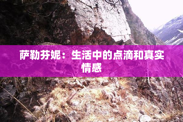 萨勒芬妮：生活中的点滴和真实情感