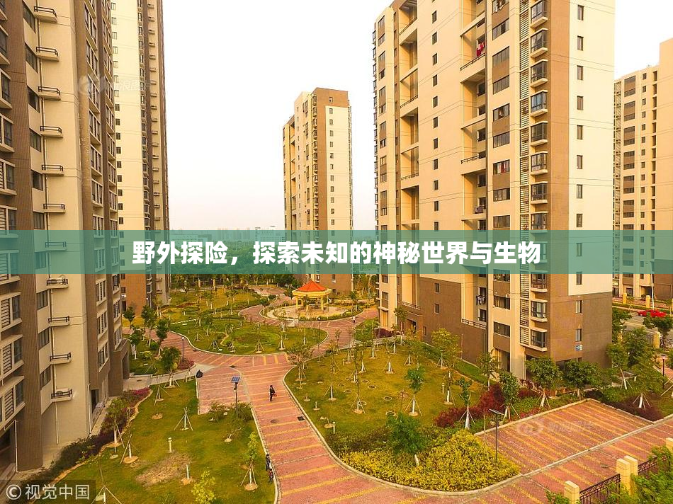 野外探险，探索未知的神秘世界与生物