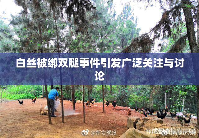 白丝被绑双腿事件引发广泛关注与讨论