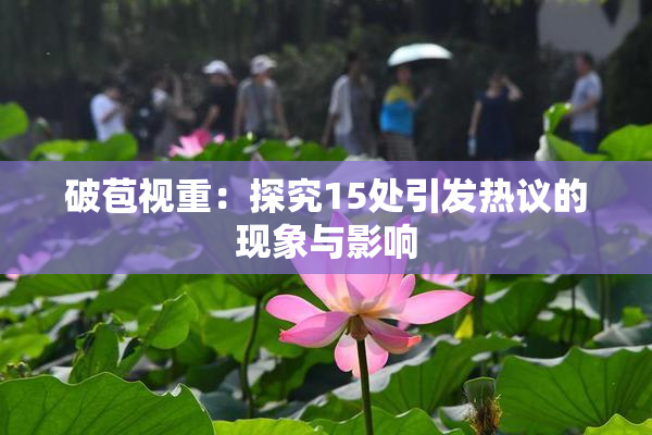 破苞视重：探究15处引发热议的现象与影响
