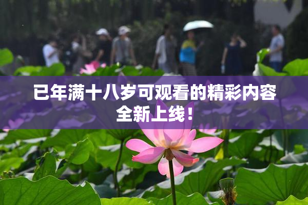 已年满十八岁可观看的精彩内容全新上线！