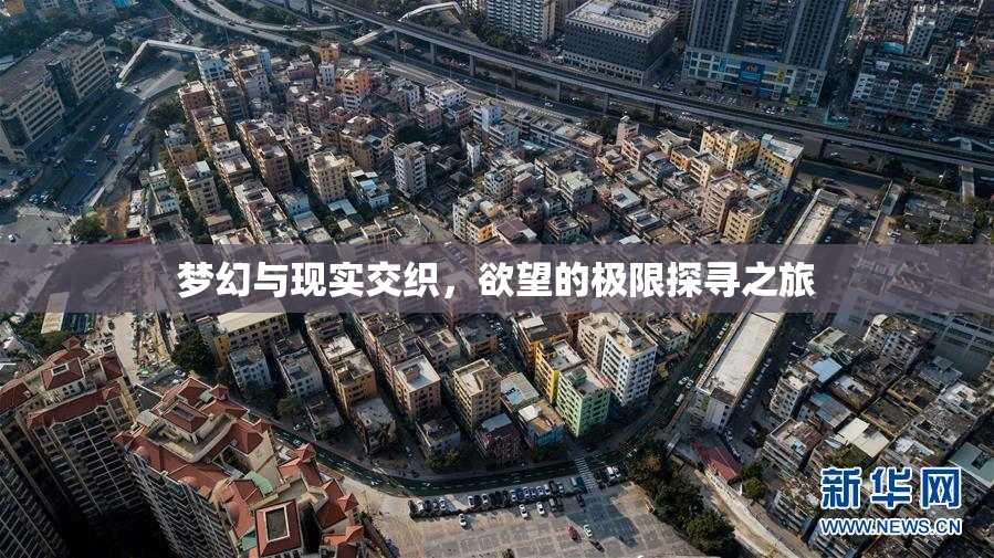 梦幻与现实交织，欲望的极限探寻之旅