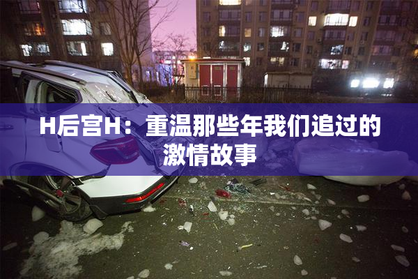 H后宫H：重温那些年我们追过的激情故事