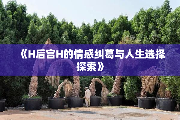《H后宫H的情感纠葛与人生选择探索》