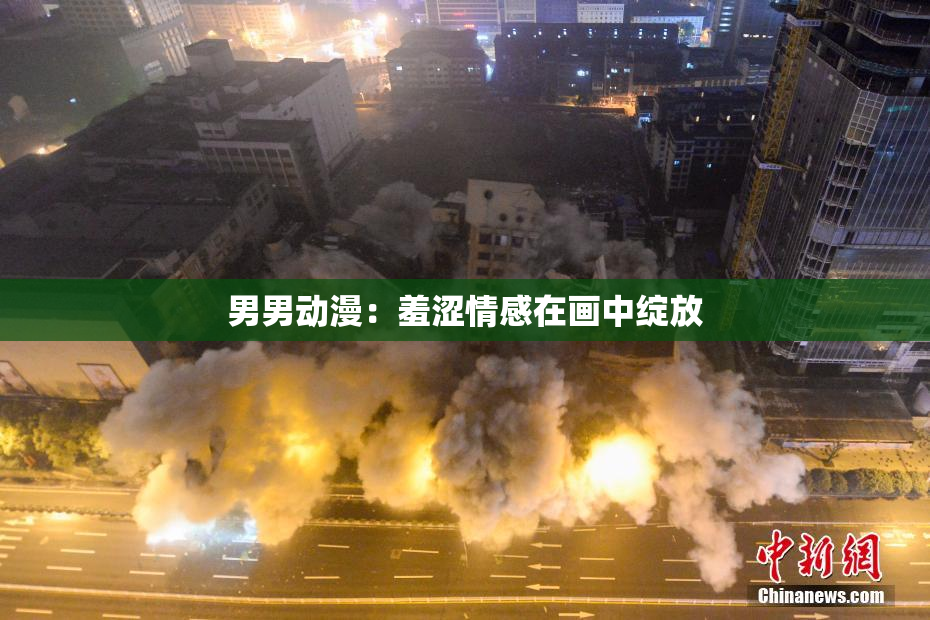 男男动漫：羞涩情感在画中绽放
