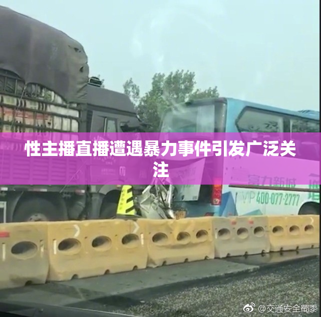 性主播直播遭遇暴力事件引发广泛关注