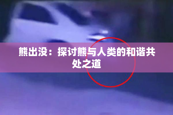 熊出没：探讨熊与人类的和谐共处之道