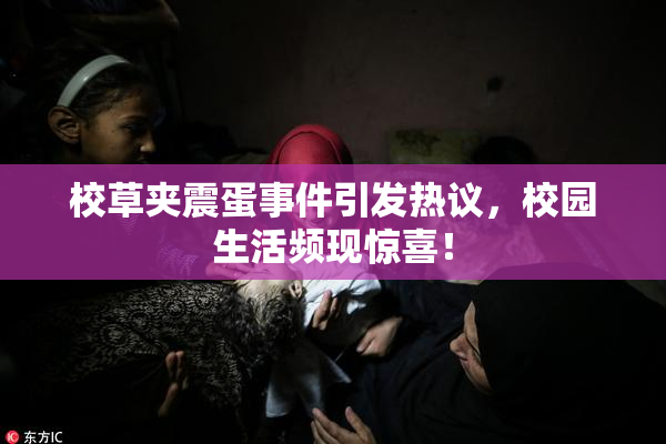 校草夹震蛋事件引发热议，校园生活频现惊喜！