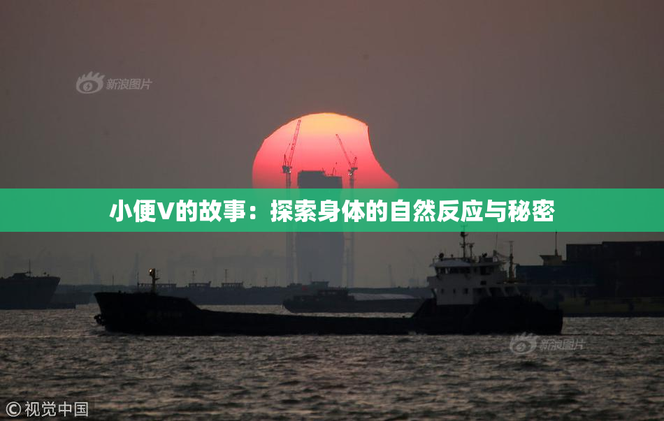 小便V的故事：探索身体的自然反应与秘密