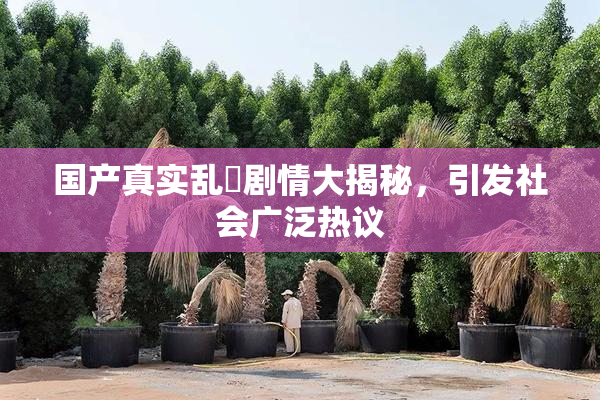 国产真实乱婬剧情大揭秘，引发社会广泛热议