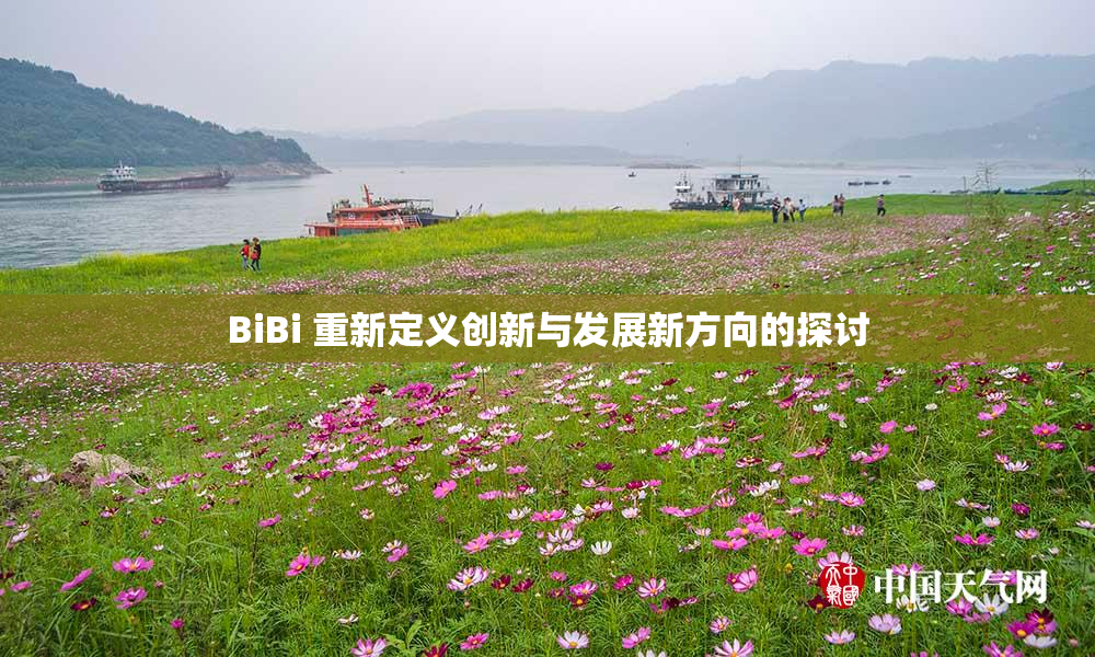 BiBi 重新定义创新与发展新方向的探讨