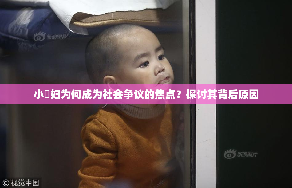 小婬妇为何成为社会争议的焦点？探讨其背后原因
