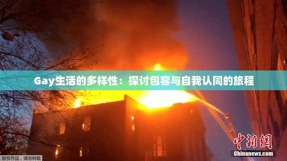 Gay生活的多样性：探讨包容与自我认同的旅程