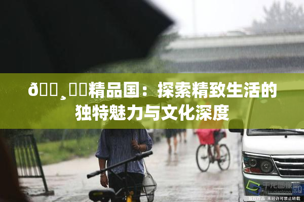 🌸‌✿精品国：探索精致生活的独特魅力与文化深度