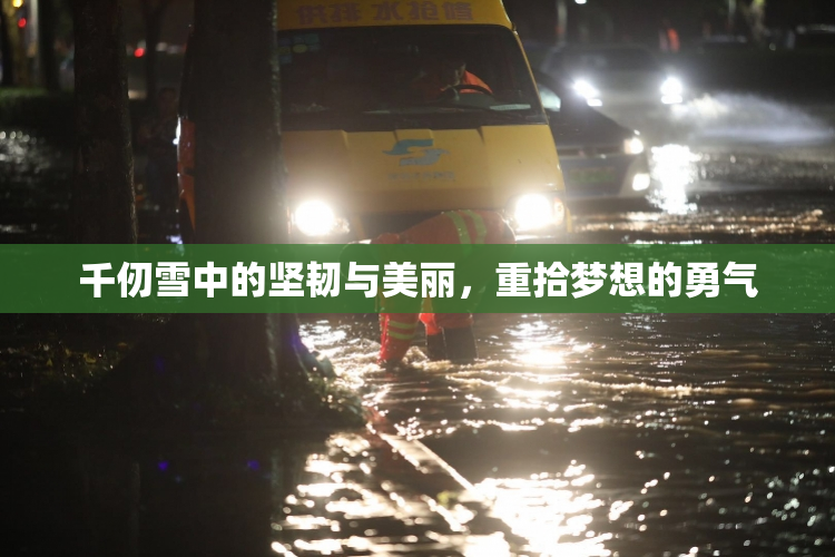 千仞雪中的坚韧与美丽，重拾梦想的勇气