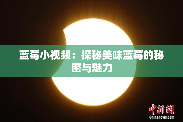 蓝莓小视频：探秘美味蓝莓的秘密与魅力