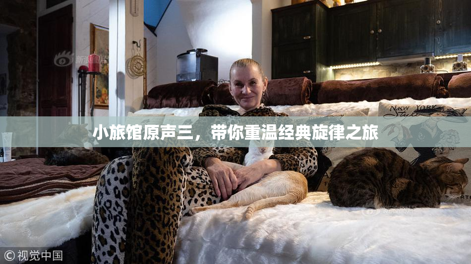 小旅馆原声三，带你重温经典旋律之旅