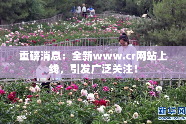 重磅消息：全新www.cr网站上线，引发广泛关注！