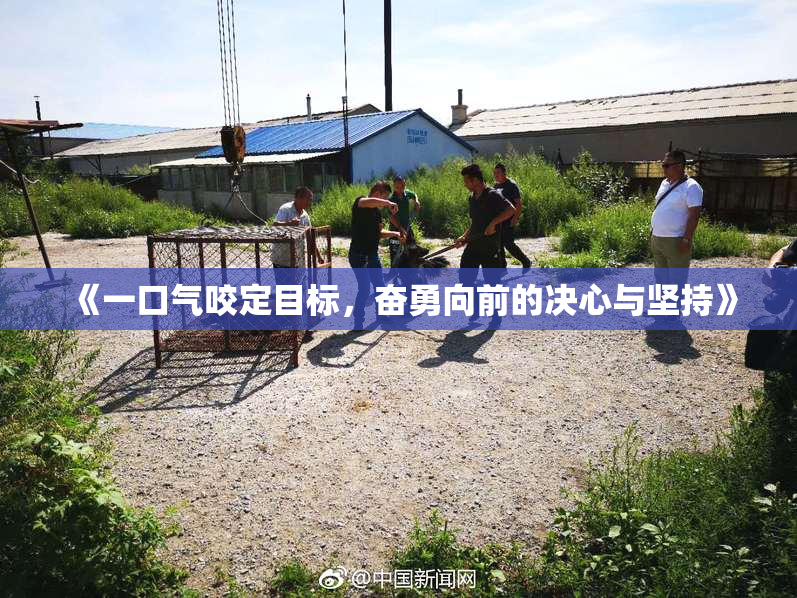 《一口气咬定目标，奋勇向前的决心与坚持》