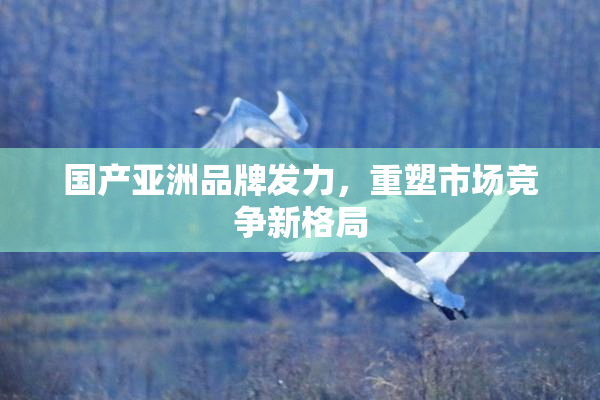 国产亚洲品牌发力，重塑市场竞争新格局