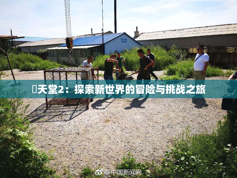 妺天堂2：探索新世界的冒险与挑战之旅