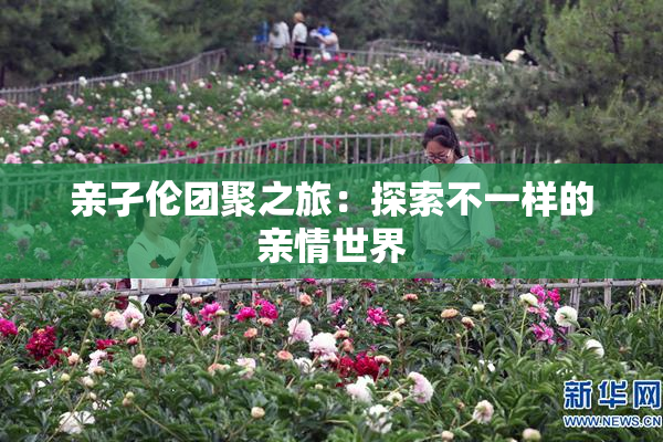 亲孑伦团聚之旅：探索不一样的亲情世界