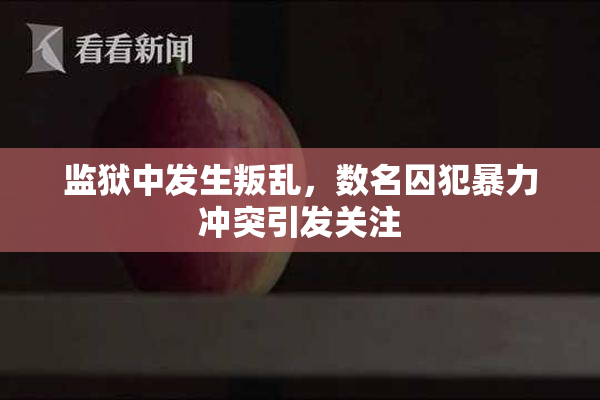 监狱中发生叛乱，数名囚犯暴力冲突引发关注