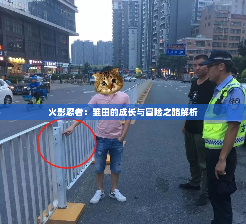 火影忍者：雏田的成长与冒险之路解析