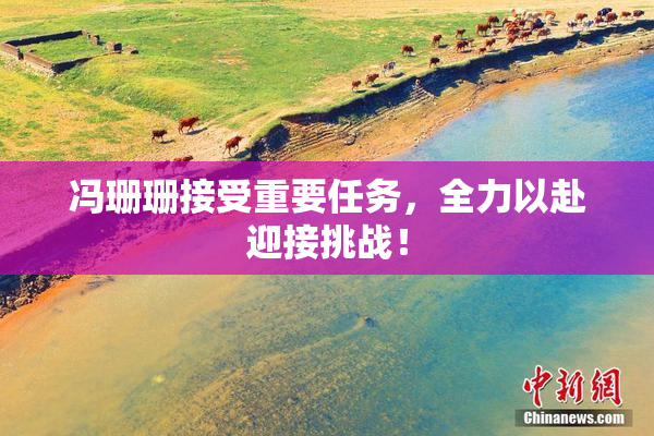 冯珊珊接受重要任务，全力以赴迎接挑战！