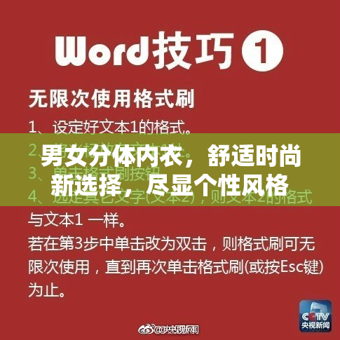 男女分体内衣，舒适时尚新选择，尽显个性风格