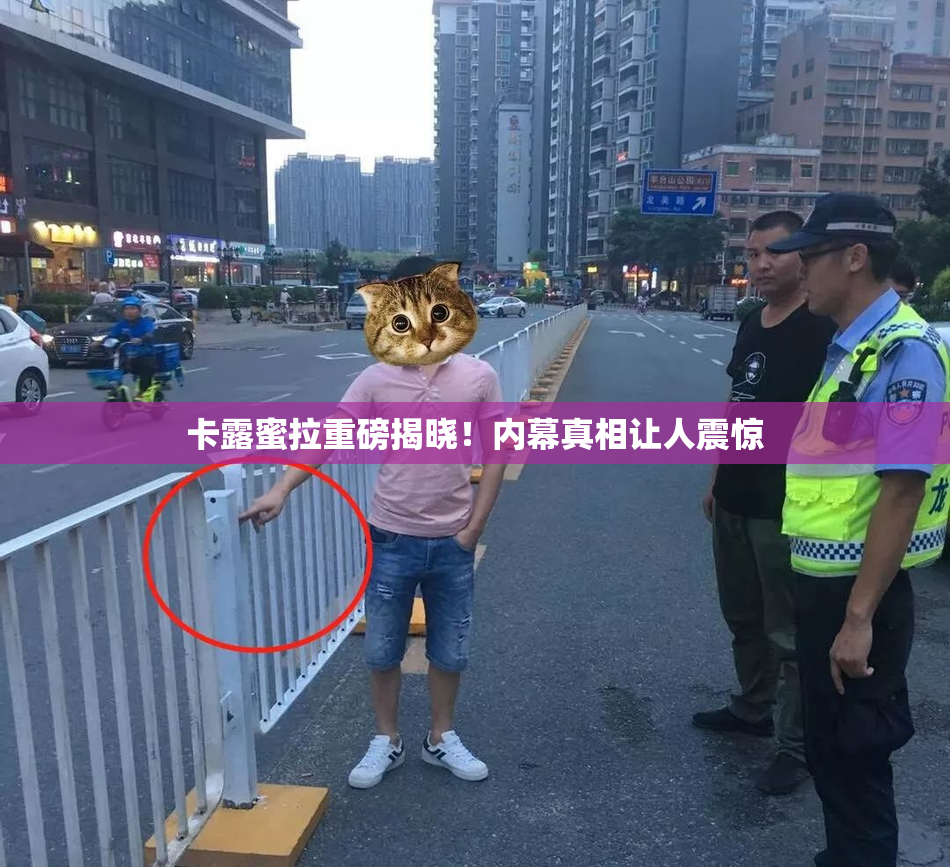 卡露蜜拉重磅揭晓！内幕真相让人震惊