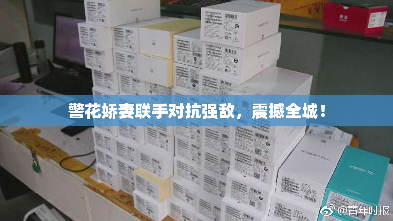 警花娇妻联手对抗强敌，震撼全城！