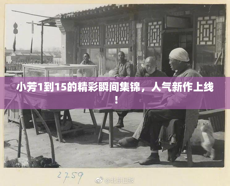 小芳1到15的精彩瞬间集锦，人气新作上线！