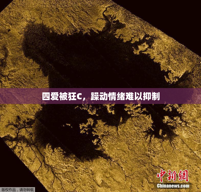 四爱被狂C，躁动情绪难以抑制
