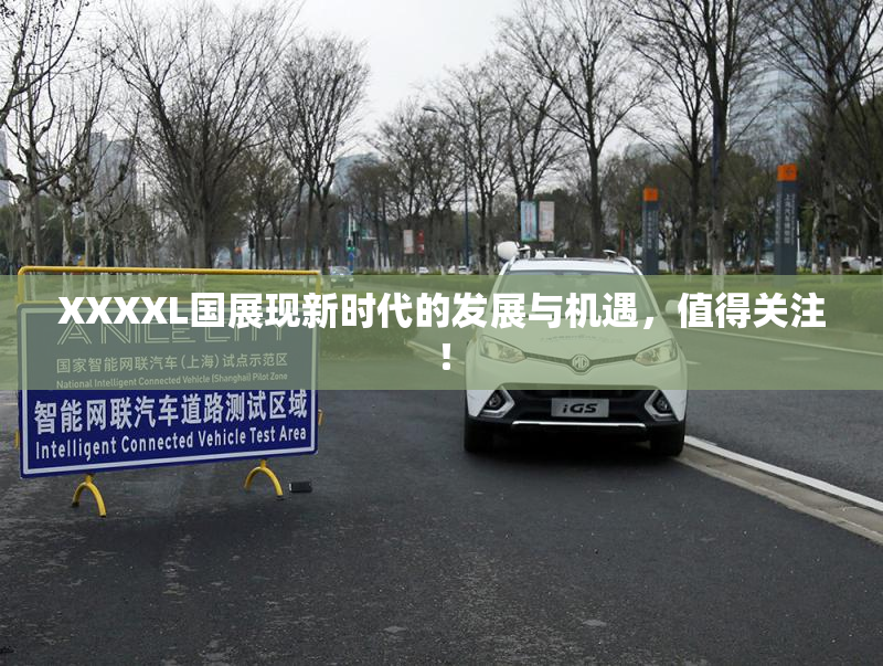 XXXXL国展现新时代的发展与机遇，值得关注！