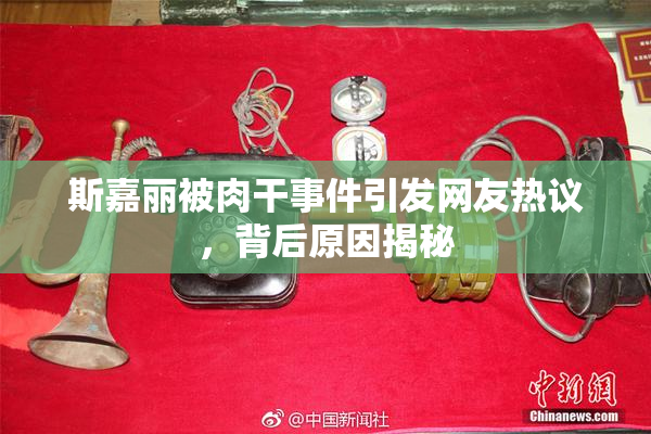 斯嘉丽被肉干事件引发网友热议，背后原因揭秘